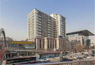 青岛红酸枝五斗柜价格